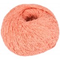 Linie 555 Lara